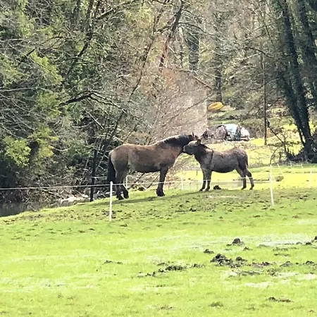De L'abbaye De L'etanche * Neufchateau