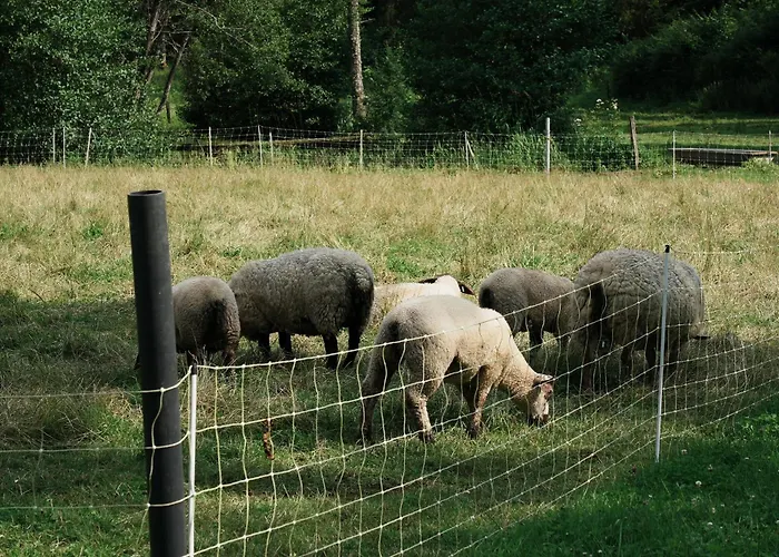 De L'abbaye De L'etanche Vila *